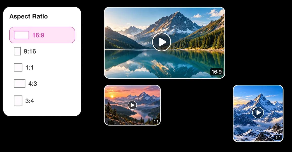 Aspect ratio picker with multiple video formats